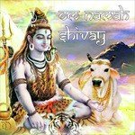 Rameshbhai Ozha Songs MP3 Download